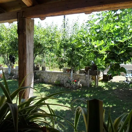 Moderne In Privlaka Mit Terrasse Und Garten Daire *